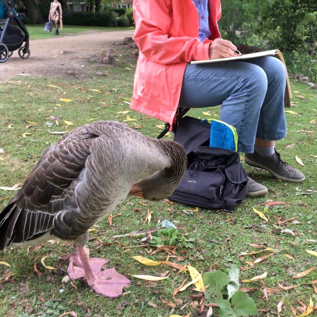 Entenvögel-zeichnen-im-Eichenpark-Hamburg-2020-1